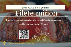 filete-minon-mi-choza